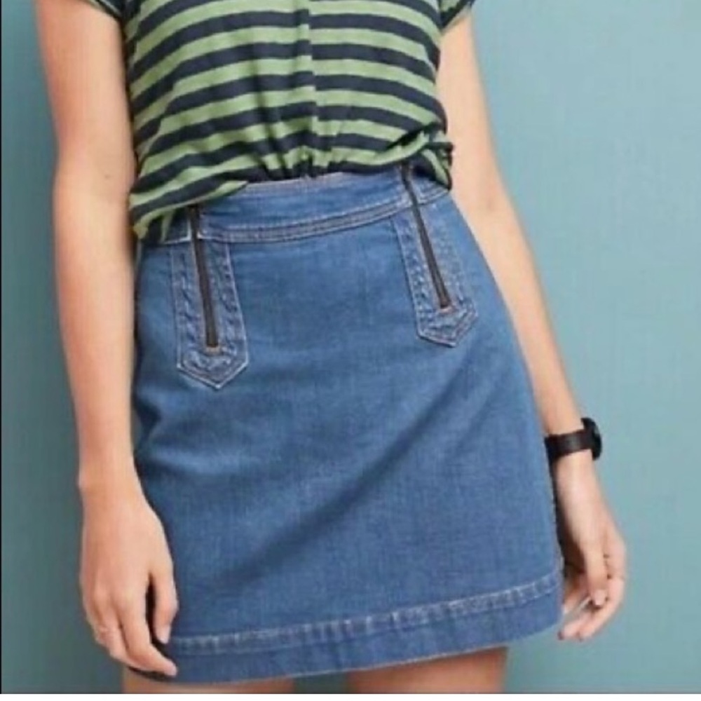 Anthropologie Pilcro and the Letterpress skirt